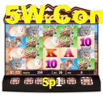 Sp1,Sp1.Com